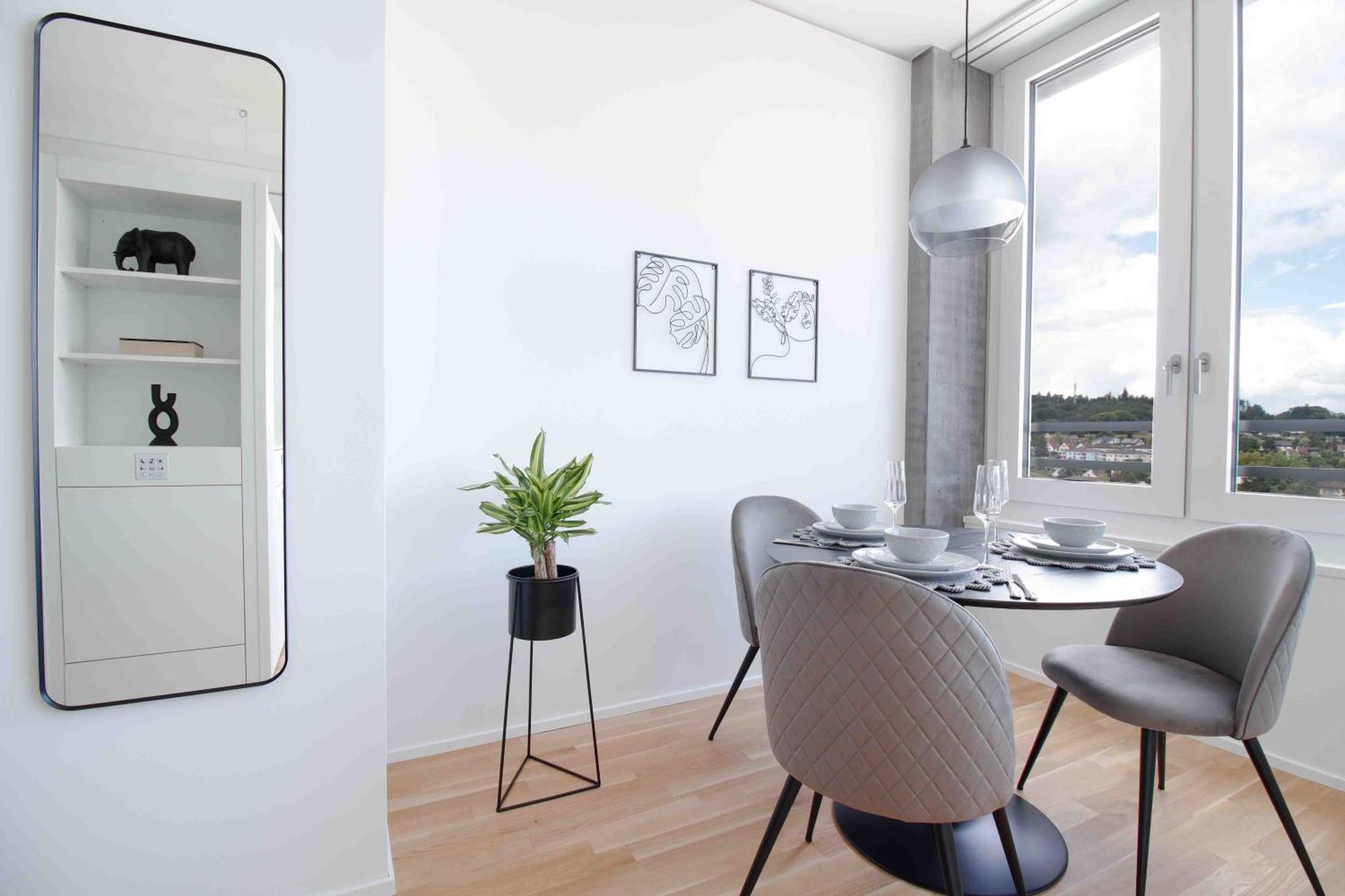 Loewe Apartments Am Rheinfall Нойгаузен-ам-Райнфалль Екстер'єр фото