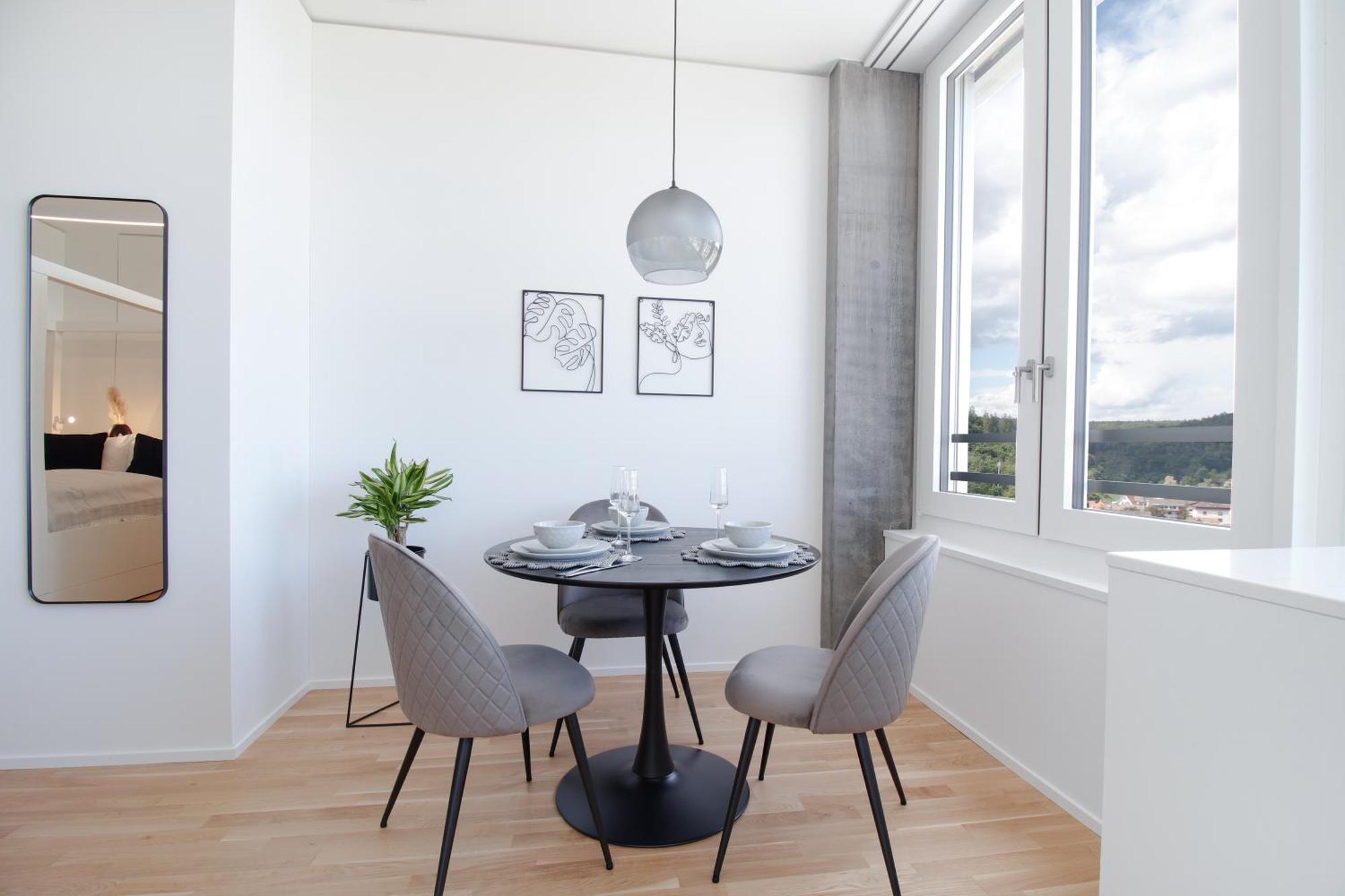 Loewe Apartments Am Rheinfall Нойгаузен-ам-Райнфалль Екстер'єр фото