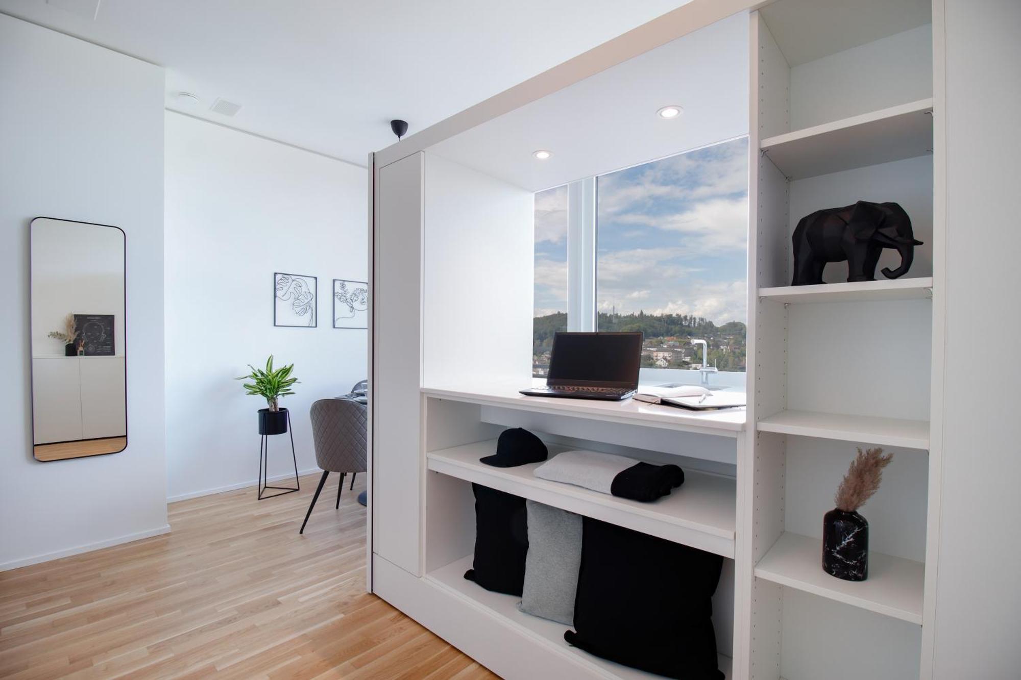 Loewe Apartments Am Rheinfall Нойгаузен-ам-Райнфалль Екстер'єр фото