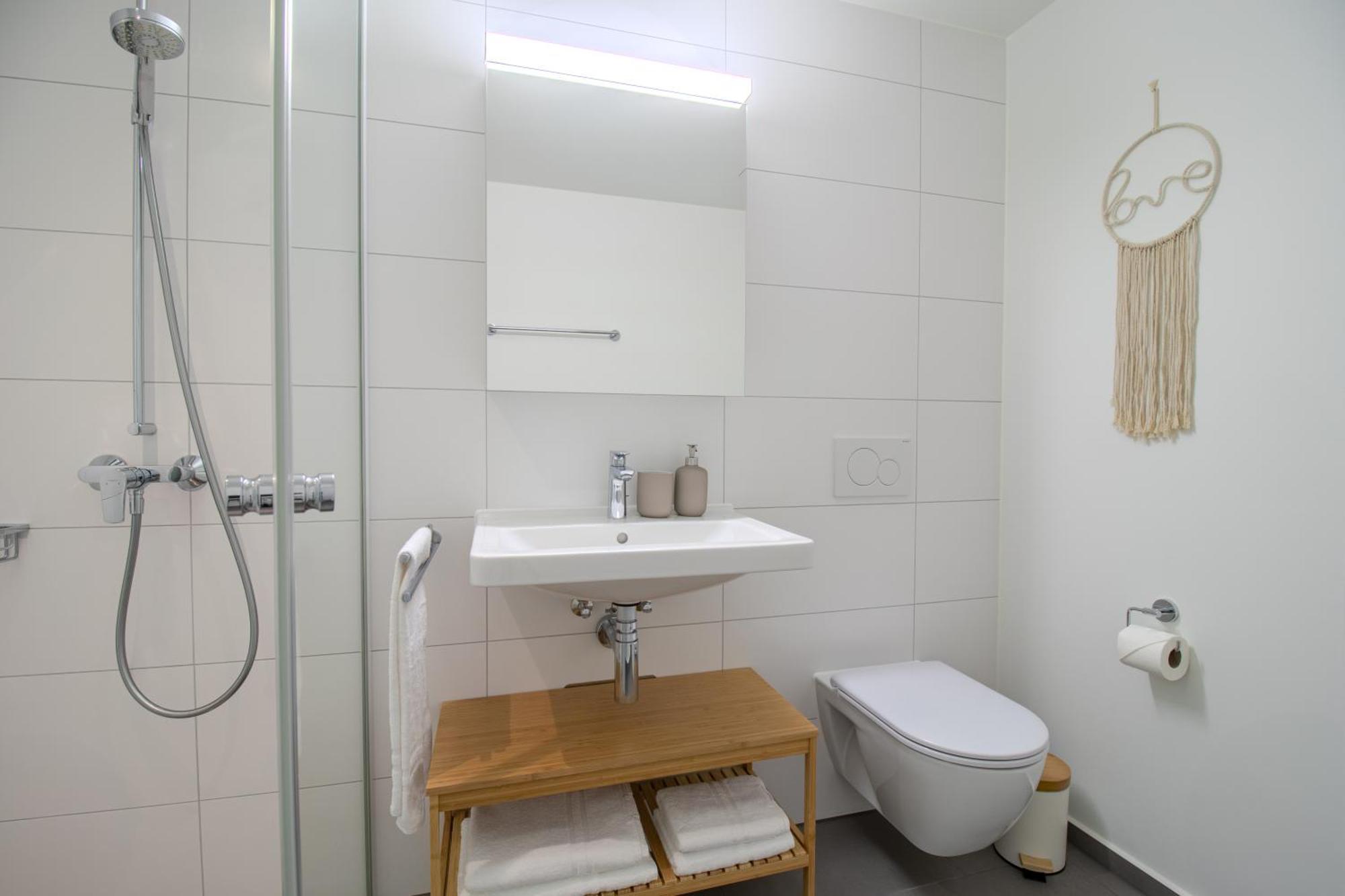Loewe Apartments Am Rheinfall Нойгаузен-ам-Райнфалль Екстер'єр фото