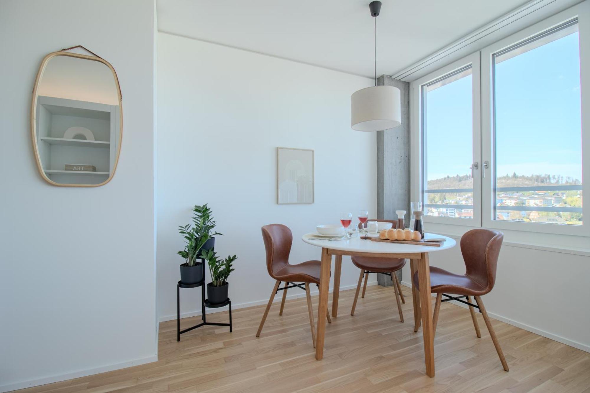 Loewe Apartments Am Rheinfall Нойгаузен-ам-Райнфалль Екстер'єр фото